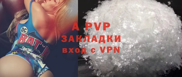 стаф Ростов
