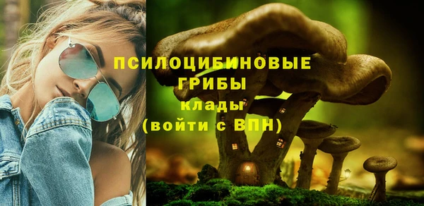 бошки Пролетарск