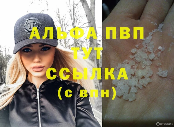 стаф Ростов