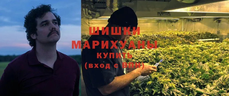 Каннабис OG Kush  где купить наркотик  Туринск 